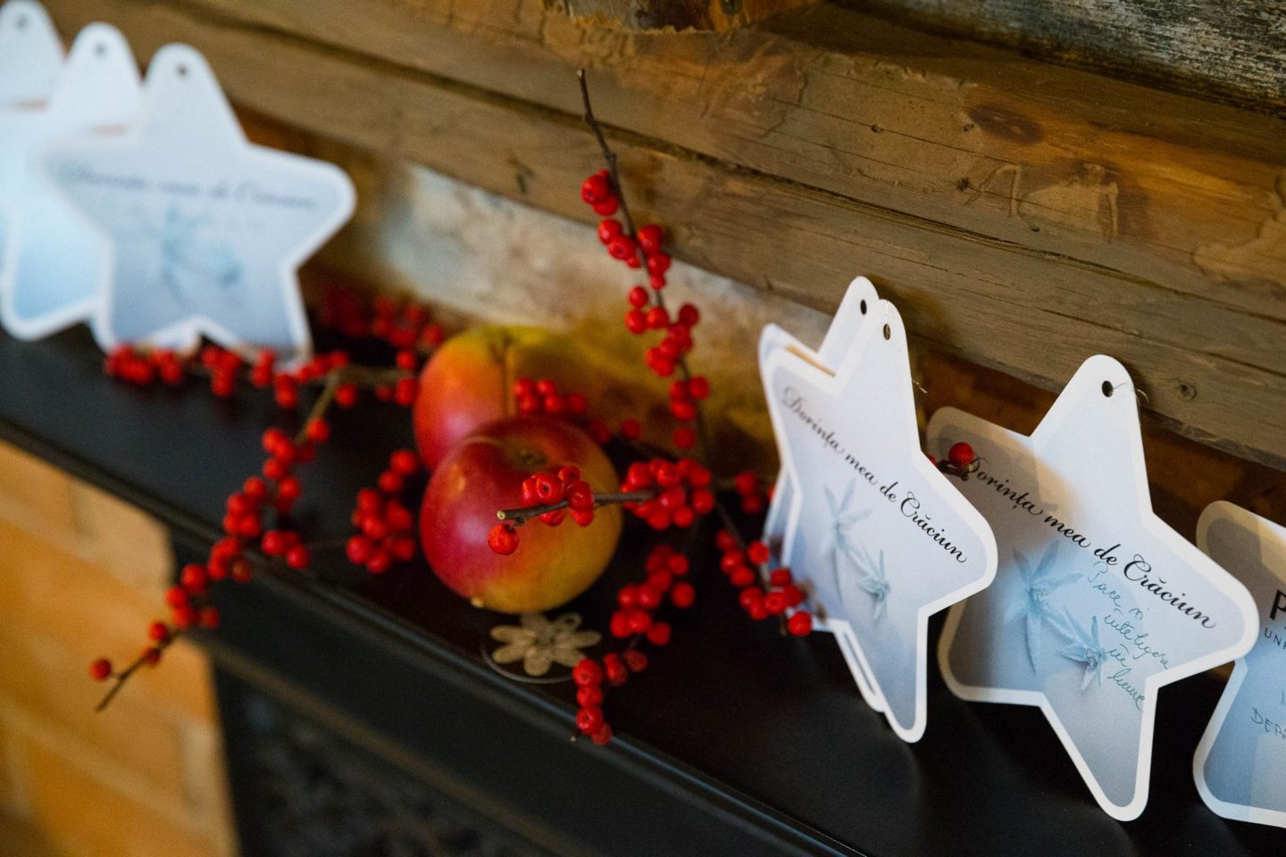 12314170_871642682951634_6013804364168372305_o