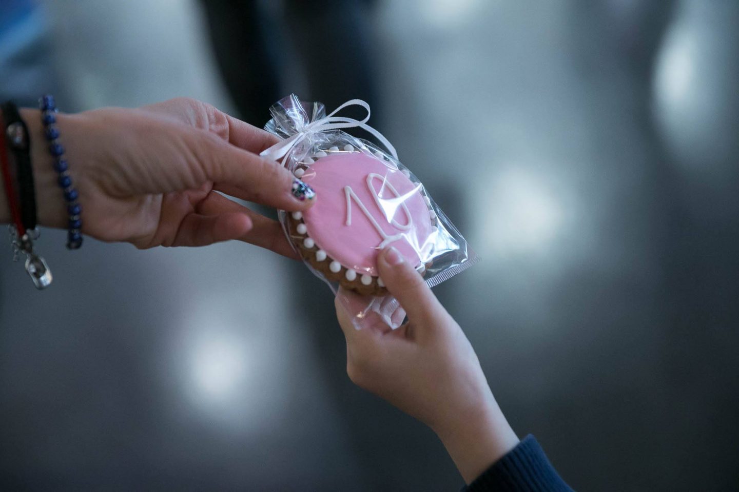 18077012_1321268347989063_4372872844019191597_o