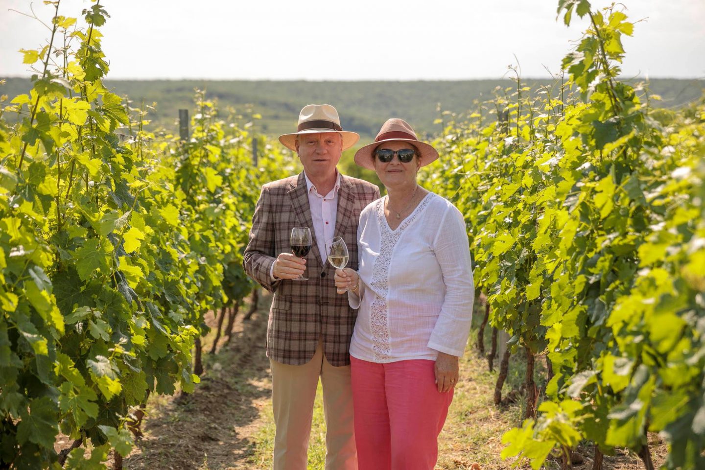 33898022_1703452026437358_5270447616956563456_o